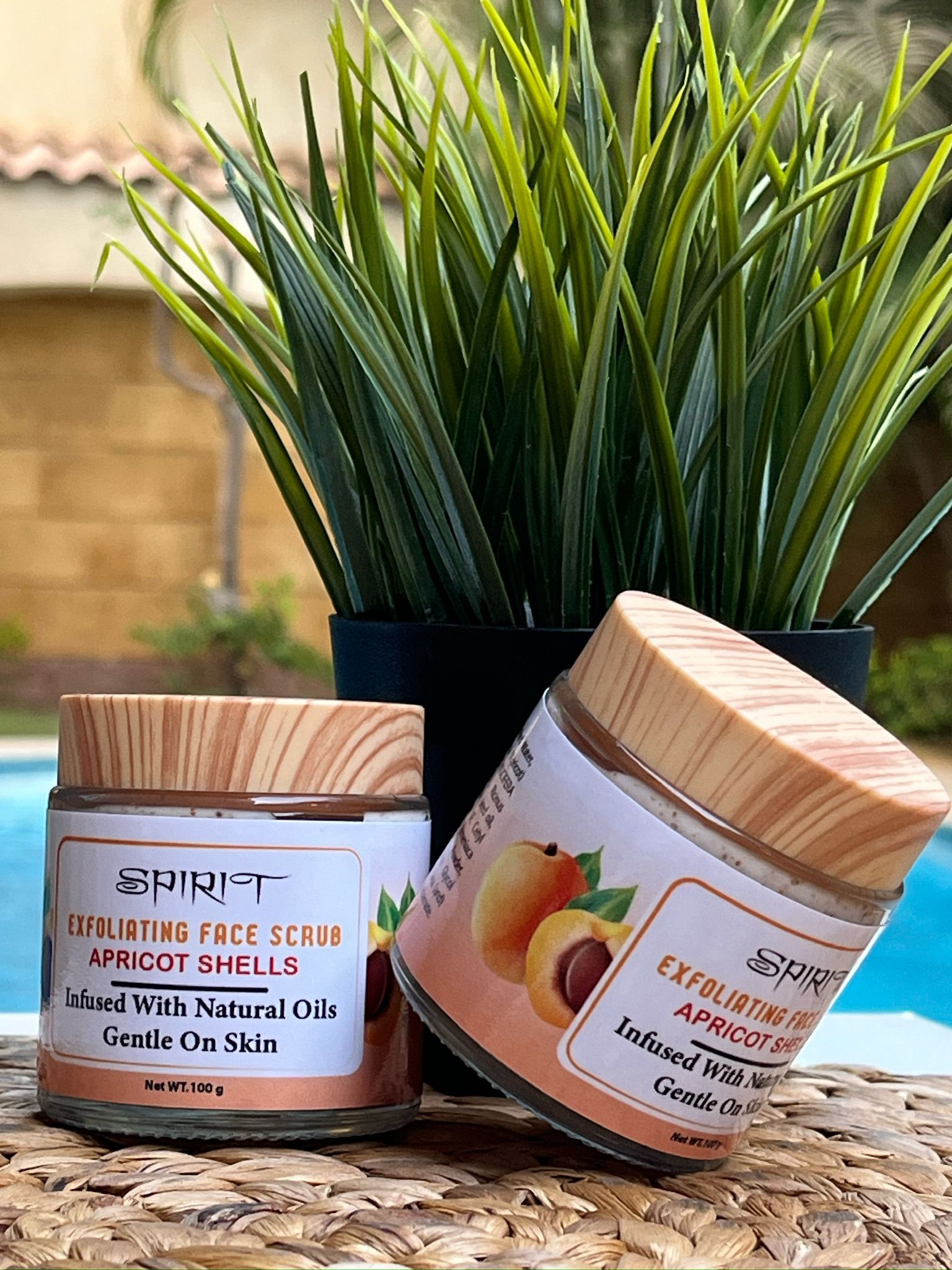 Apricot Shells Exfoliating Face Scrub